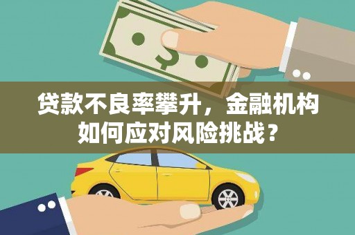 白山贷款不良率攀升，金融机构如何应对风险挑战？