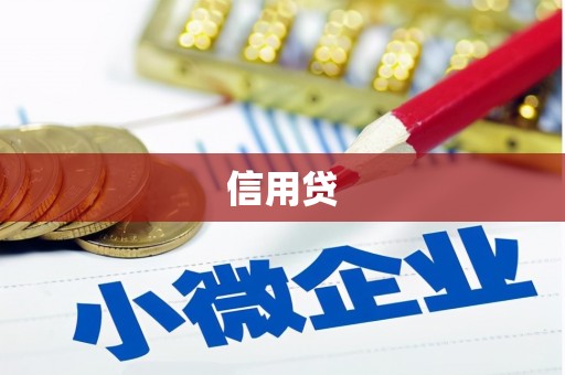 白山信用贷