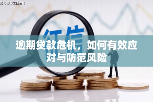 白山逾期贷款危机，如何有效应对与防范风险