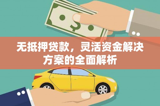 白山无抵押贷款，灵活资金解决方案的全面解析