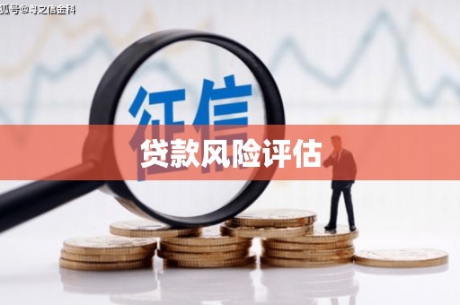 白山贷款风险评估