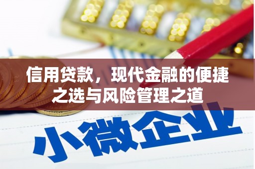 白山信用贷款，现代金融的便捷之选与风险管理之道