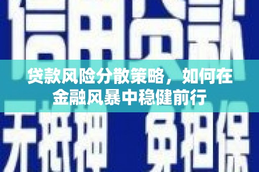 白山贷款风险分散策略，如何在金融风暴中稳健前行