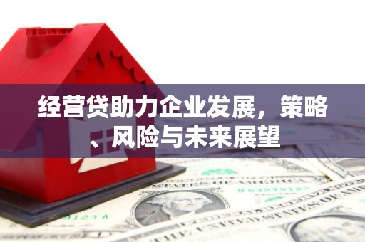 白山经营贷助力企业发展，策略、风险与未来展望