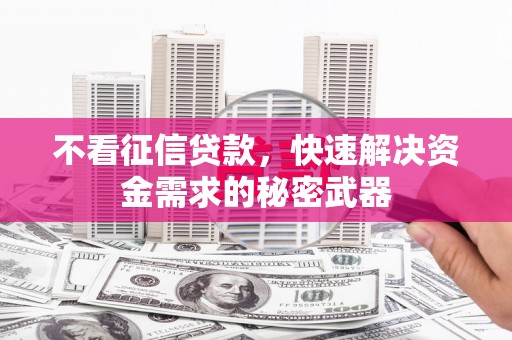 白山不看征信贷款，快速解决资金需求的秘密武器