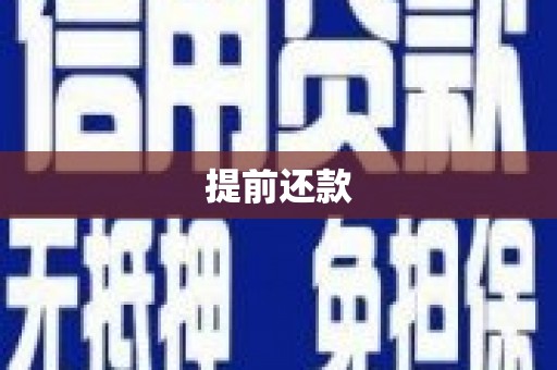 白山提前还款