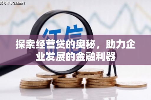 白山探索经营贷的奥秘，助力企业发展的金融利器