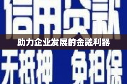 白山助力企业发展的金融利器