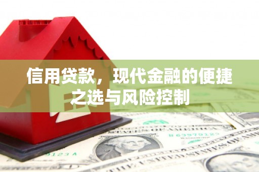 白山信用贷款，现代金融的便捷之选与风险控制