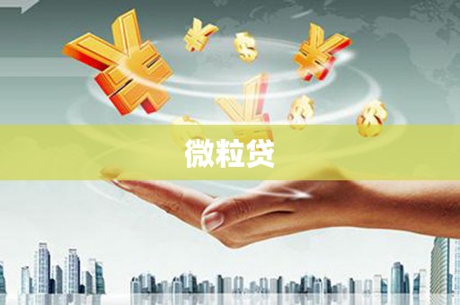 白山微粒贷