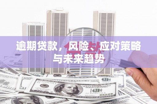 白山逾期贷款，风险、应对策略与未来趋势