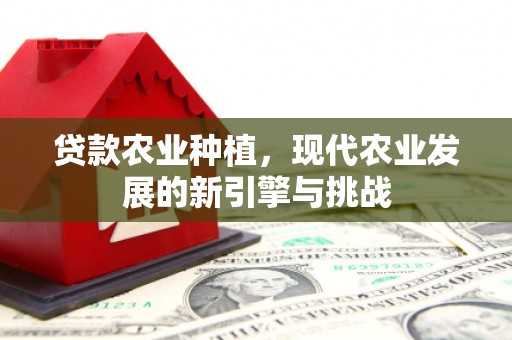 白山贷款农业种植，现代农业发展的新引擎与挑战