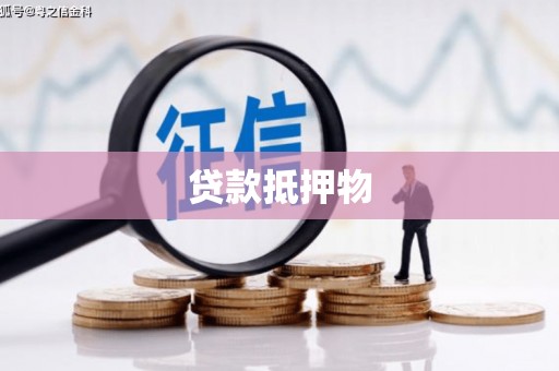 白山贷款抵押物