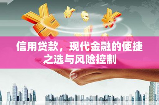白山信用贷款，现代金融的便捷之选与风险控制
