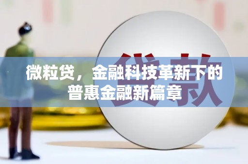白山微粒贷，金融科技革新下的普惠金融新篇章