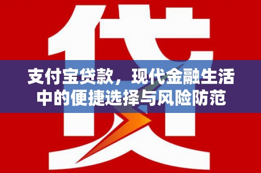 白山支付宝贷款，现代金融生活中的便捷选择与风险防范