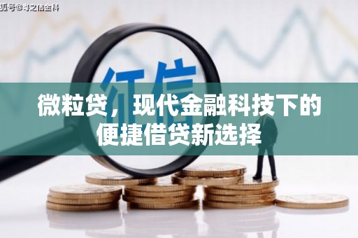 白山微粒贷，现代金融科技下的便捷借贷新选择