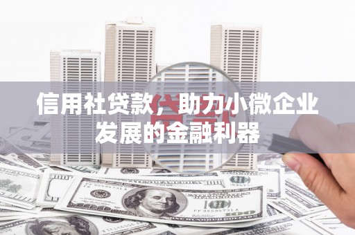 白山信用社贷款，助力小微企业发展的金融利器