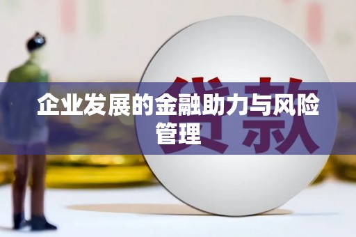 白山企业发展的金融助力与风险管理