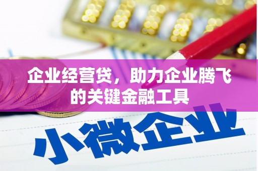 白山企业经营贷，助力企业腾飞的关键金融工具