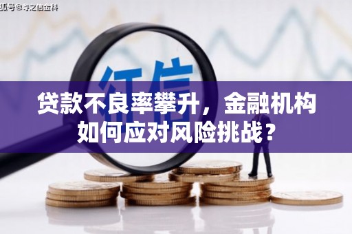 白山贷款不良率攀升，金融机构如何应对风险挑战？