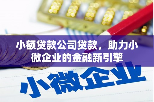 白山小额贷款公司贷款，助力小微企业的金融新引擎