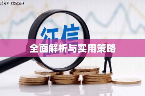 白山全面解析与实用策略