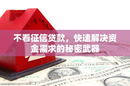 白山不看征信贷款，快速解决资金需求的秘密武器