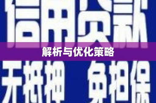 白山解析与优化策略