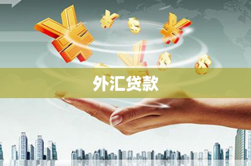 白山外汇贷款