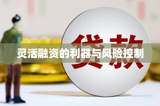 白山灵活融资的利器与风险控制
