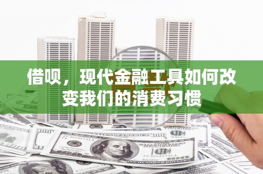 白山借呗，现代金融工具如何改变我们的消费习惯
