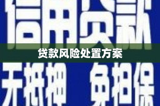 白山贷款风险处置方案