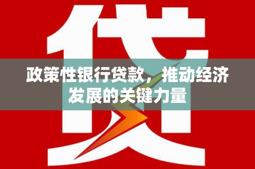 白山政策性银行贷款，推动经济发展的关键力量