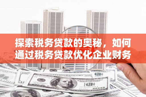 白山探索税务贷款的奥秘，如何通过税务贷款优化企业财务
