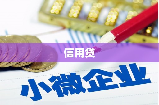 白山信用贷