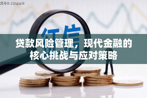 白山贷款风险管理，现代金融的核心挑战与应对策略
