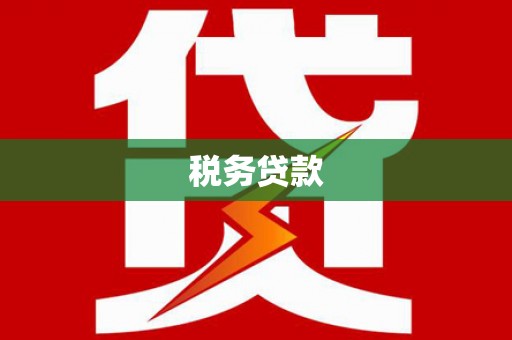 白山税务贷款