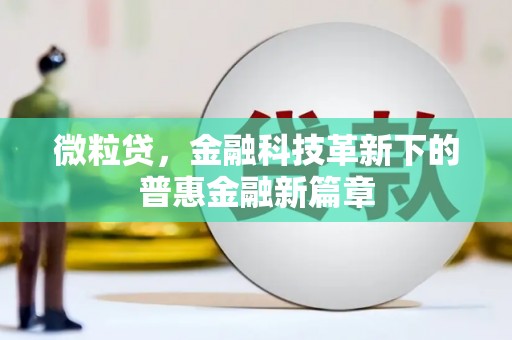 白山微粒贷，金融科技革新下的普惠金融新篇章