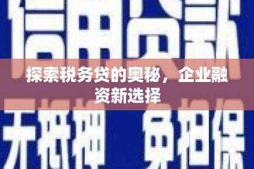 白山探索税务贷的奥秘，企业融资新选择