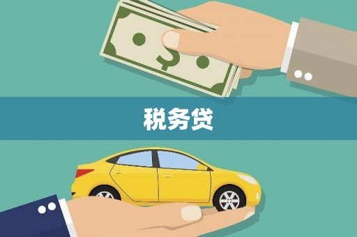 白山税务贷