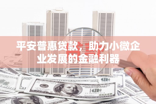 白山平安普惠贷款，助力小微企业发展的金融利器