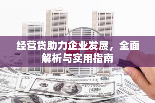 白山经营贷助力企业发展，全面解析与实用指南