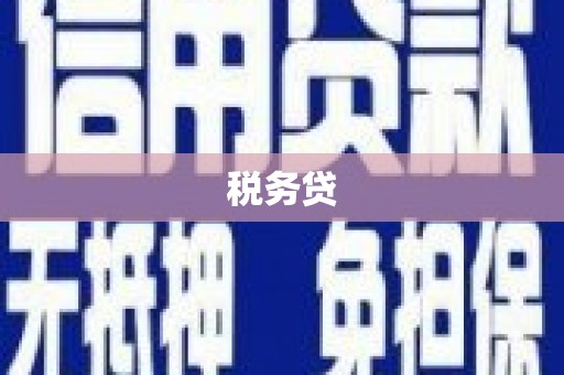 白山税务贷