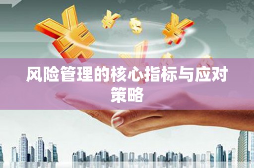 白山风险管理的核心指标与应对策略