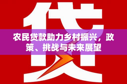 白山农民贷款助力乡村振兴，政策、挑战与未来展望