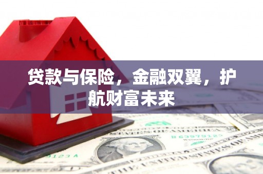 白山贷款与保险，金融双翼，护航财富未来