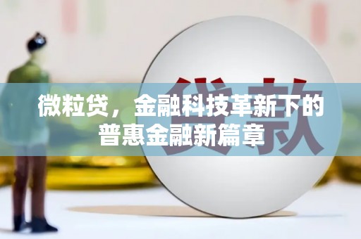 白山微粒贷，金融科技革新下的普惠金融新篇章