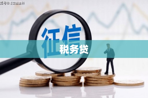 白山税务贷