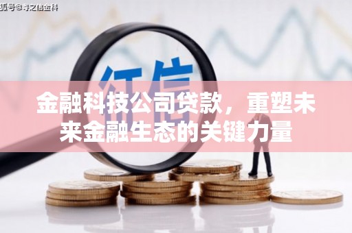 白山金融科技公司贷款，重塑未来金融生态的关键力量